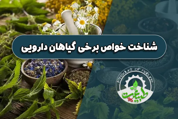 شناخت خواص برخی گیاهان دارویی