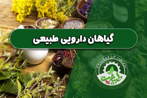 گیاهان دارویی طبیعی