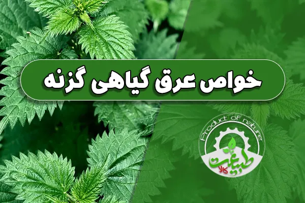 خواص عرق گیاهی گزنه