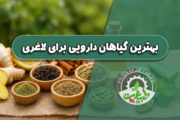 بهترین گیاهان دارویی برای لاغری