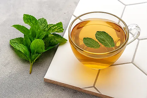 نعناع بعنوان یکی دیگر از بهترین گیاهان دارویی برای لاغری